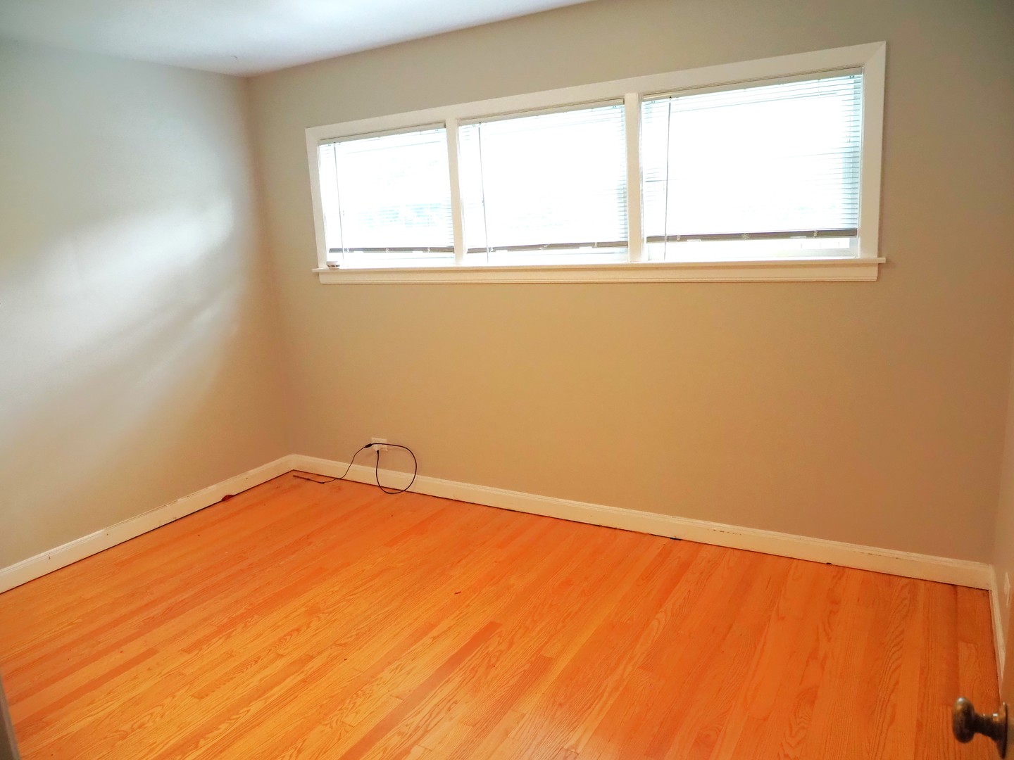 Gallery Image 6