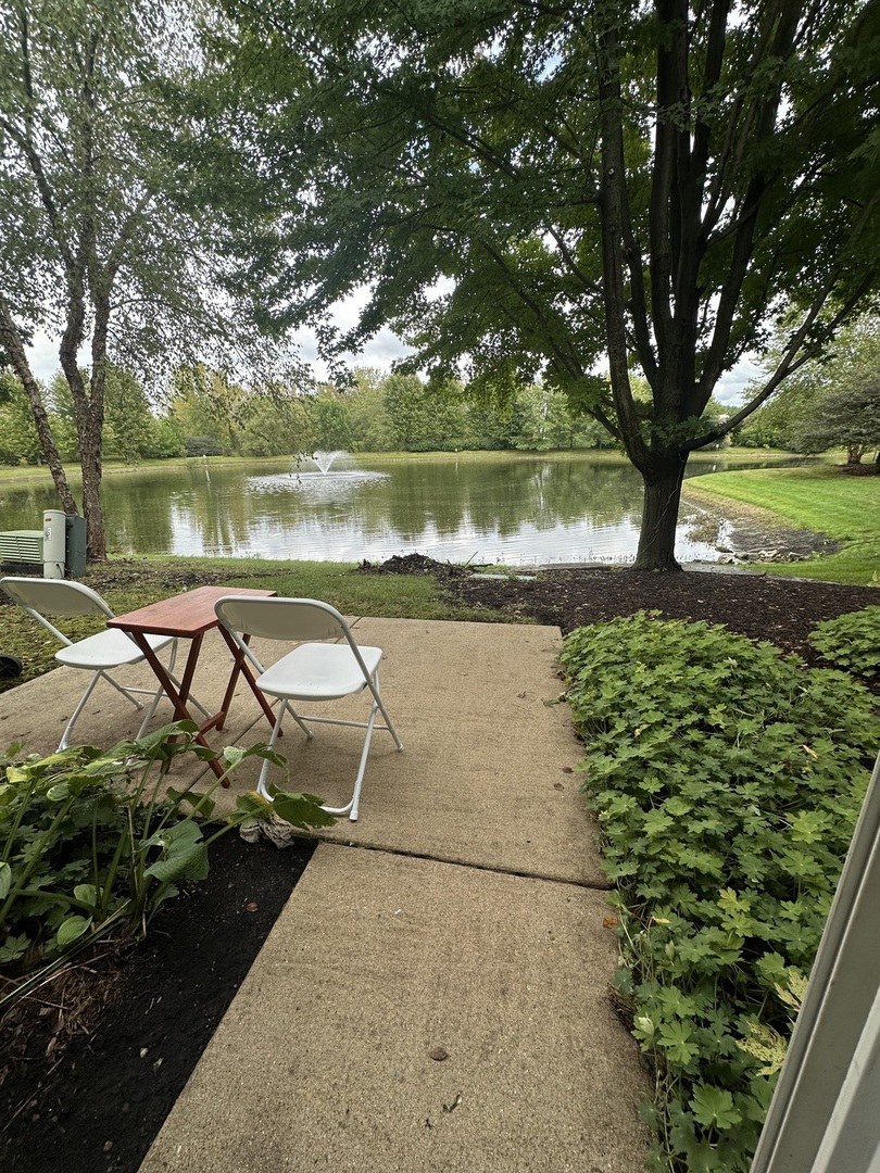 Gallery Image 14