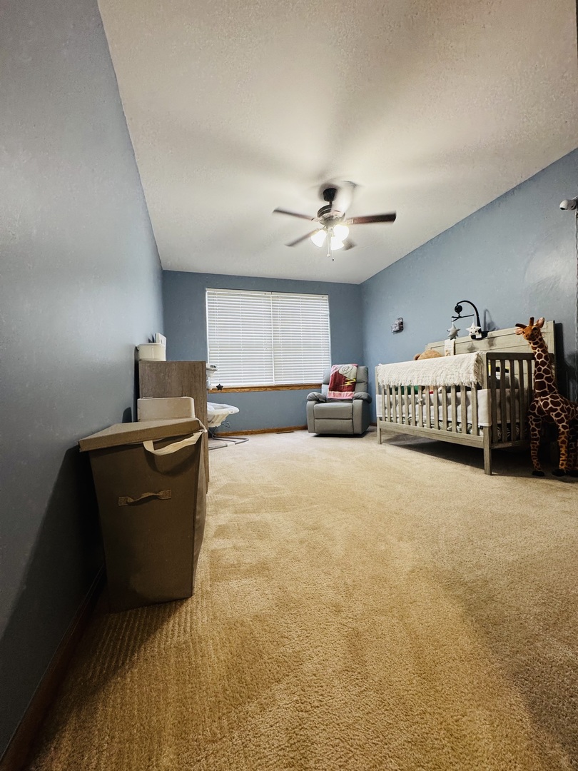 Gallery Image 13