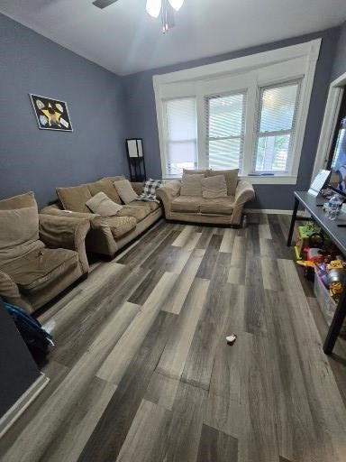Gallery Image 9