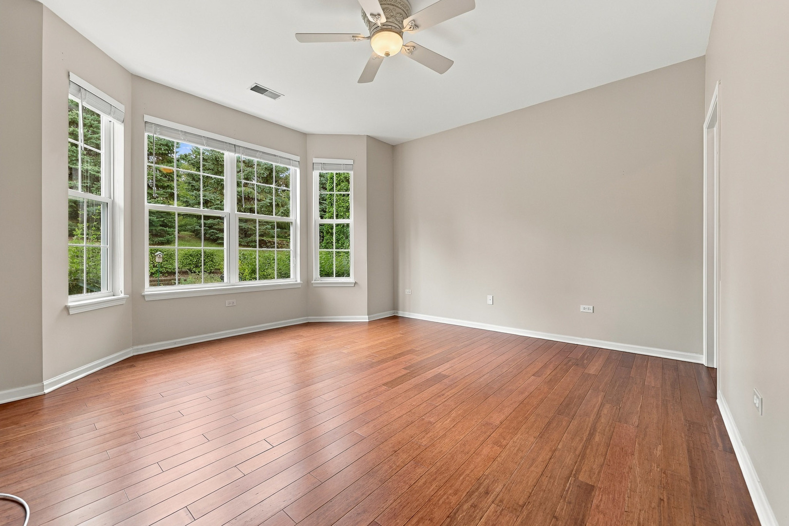 Gallery Image 19