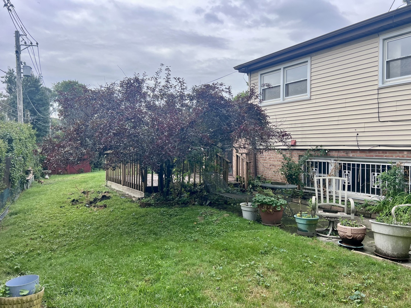 Gallery Image 18