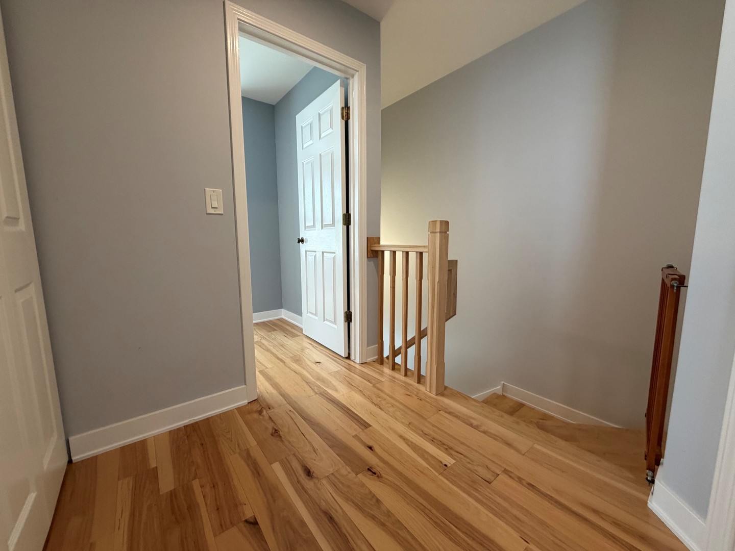 Gallery Image 7