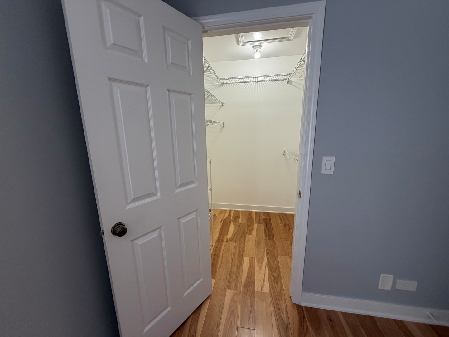 Gallery Image 14