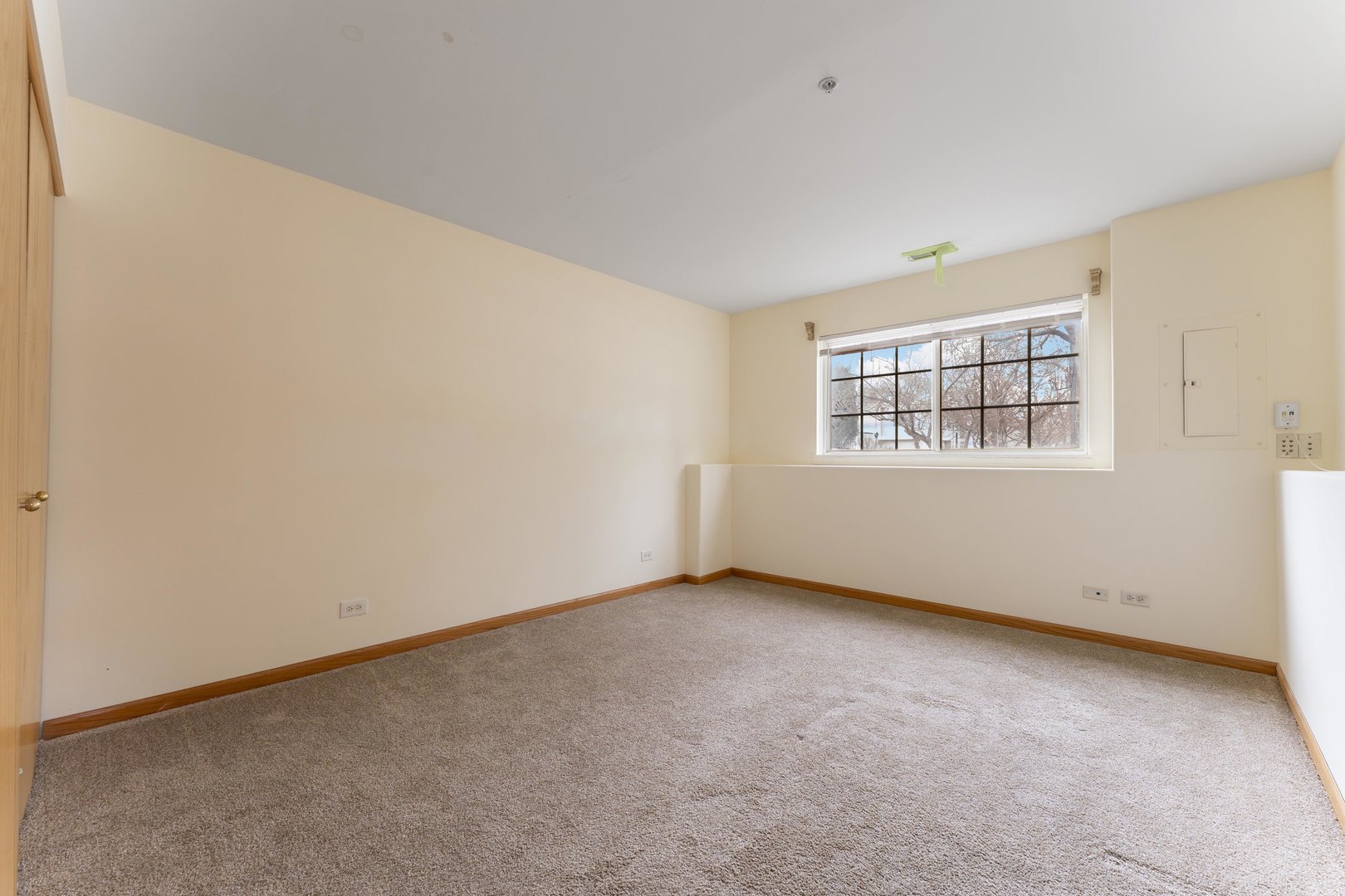 Gallery Image 15