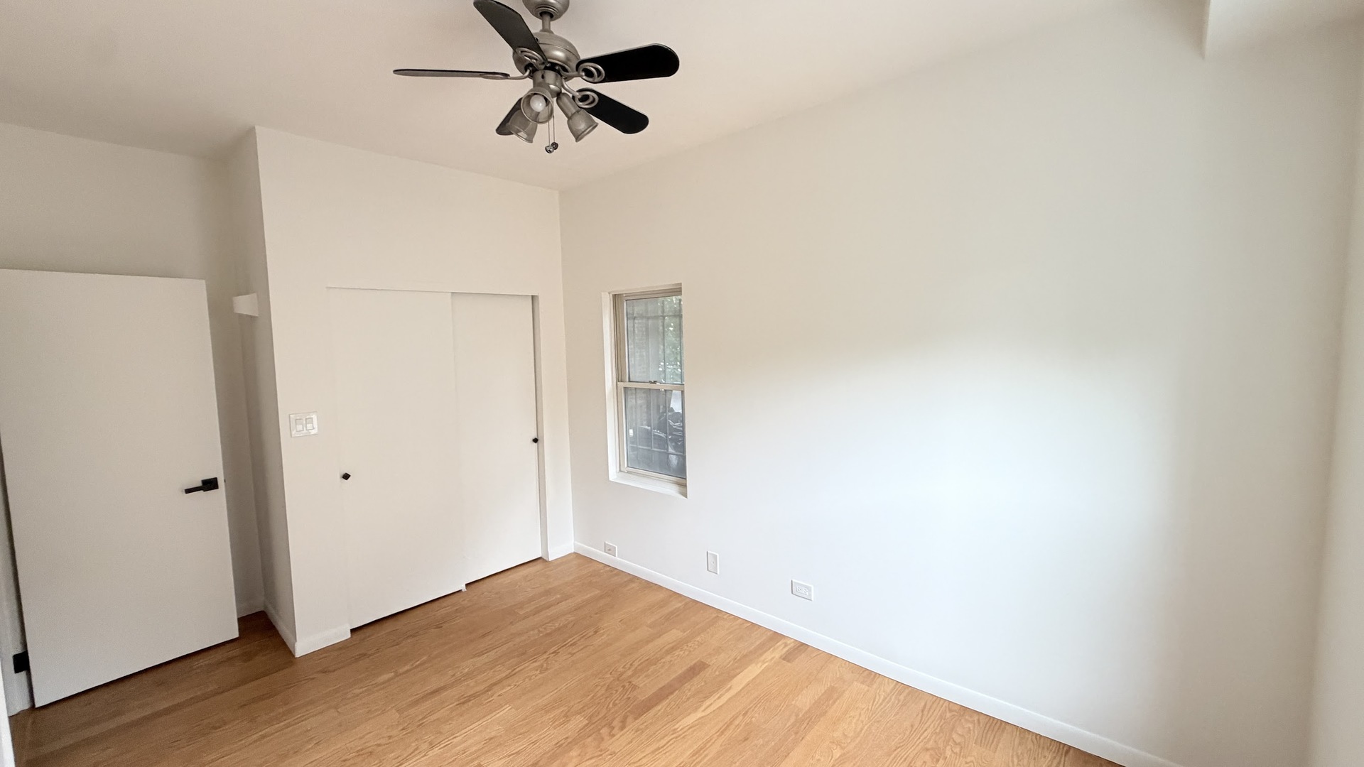 Gallery Image 19