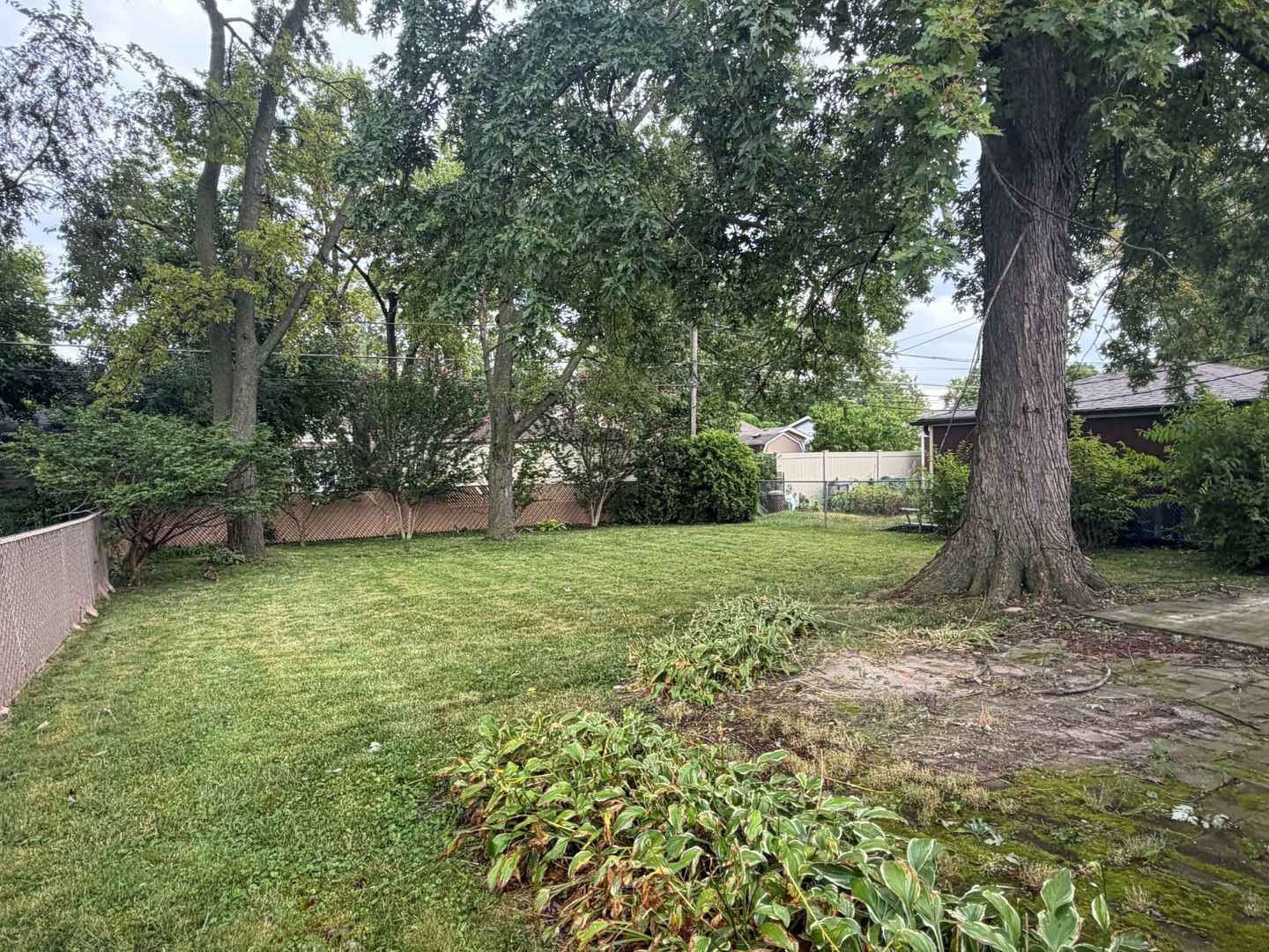 Gallery Image 16