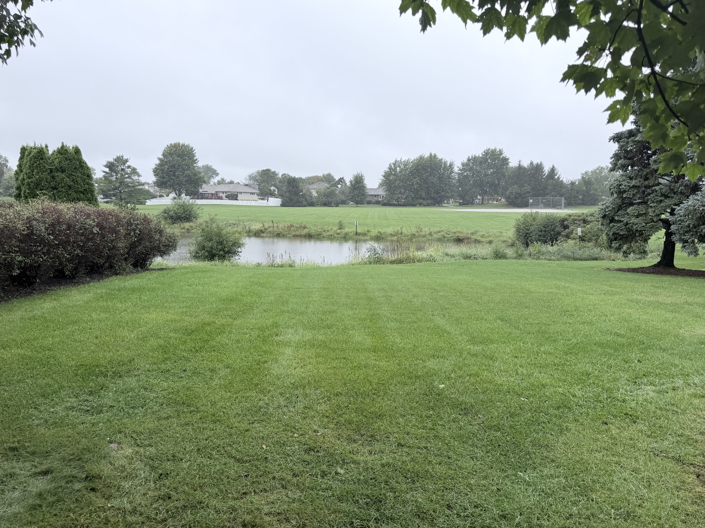 Gallery Image 41