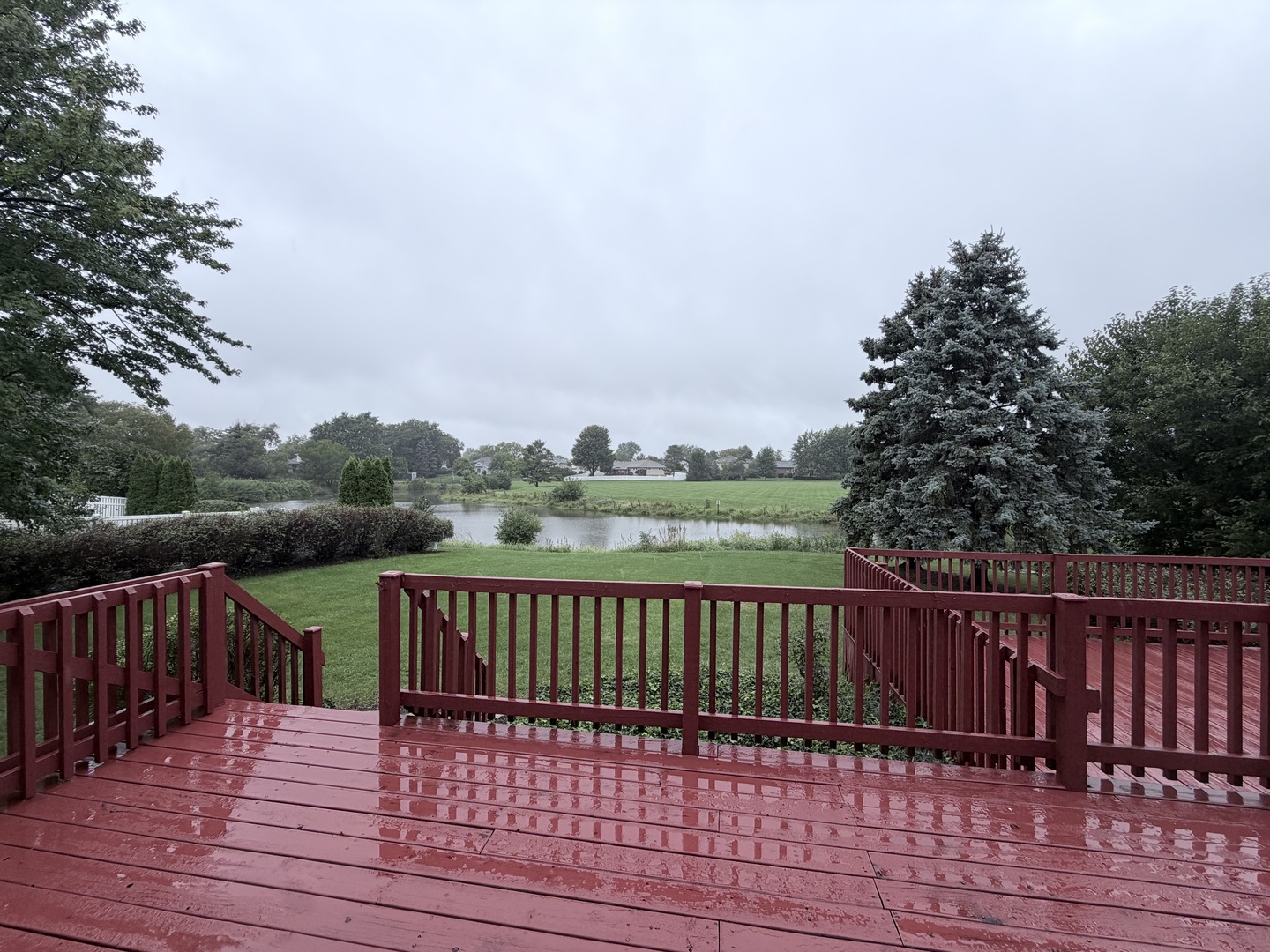 Gallery Image 35