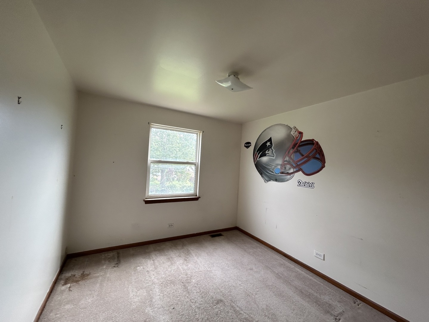 Gallery Image 15