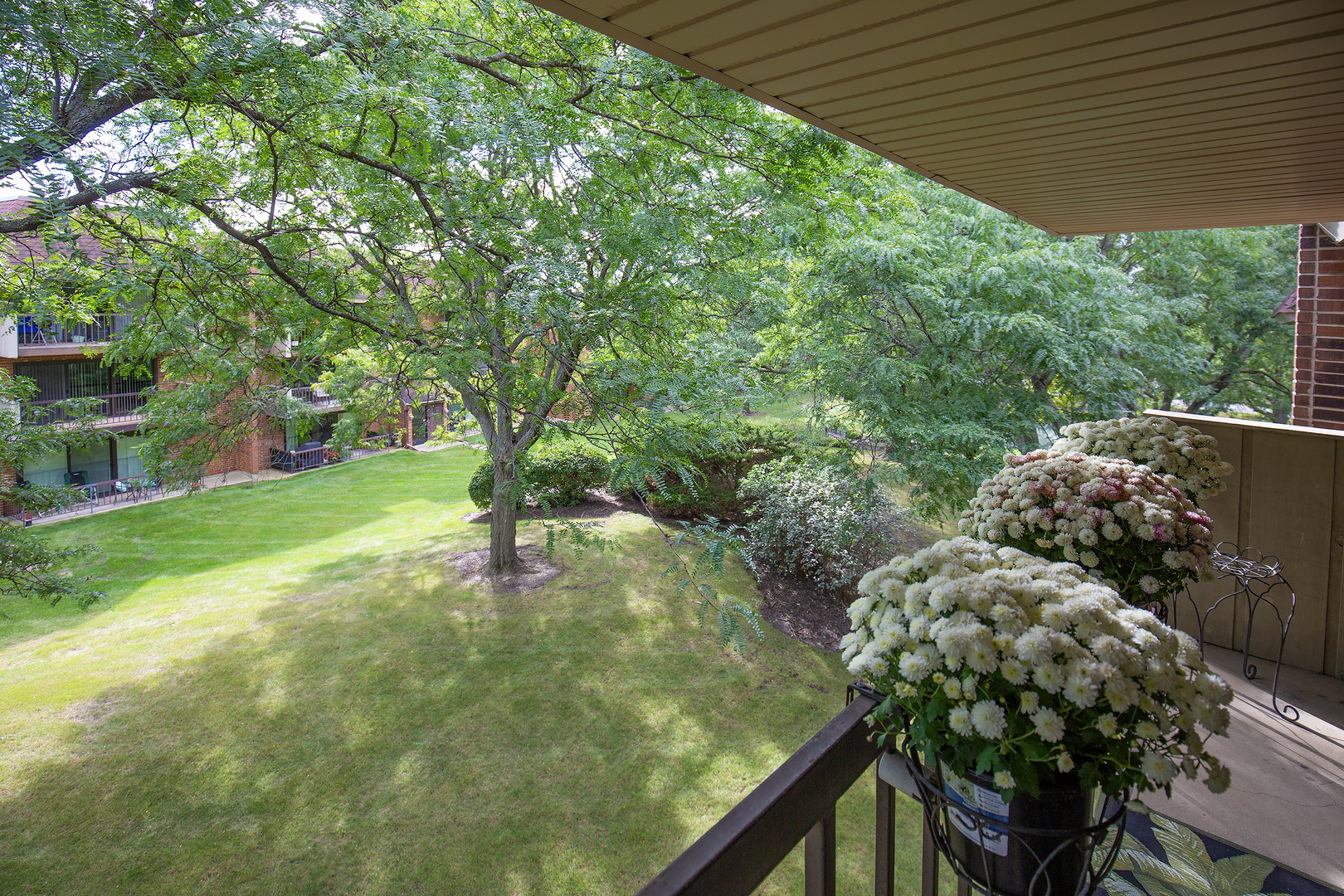 Gallery Image 37