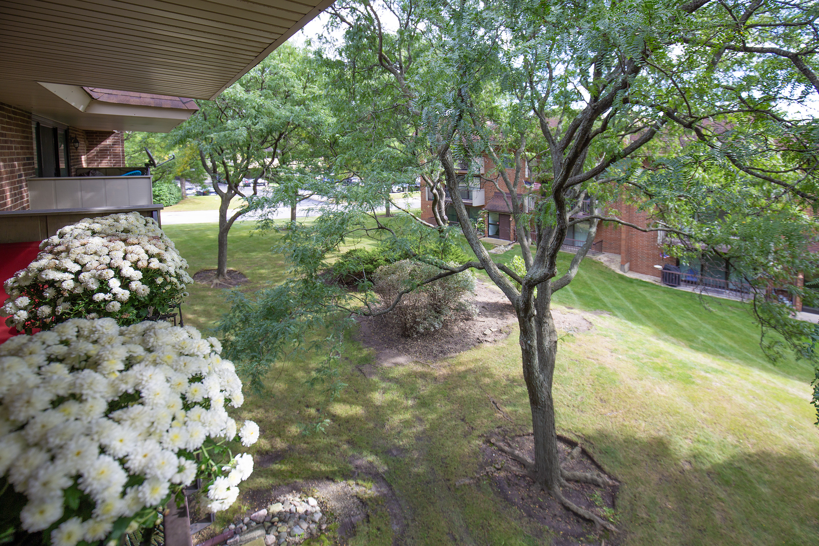 Gallery Image 38
