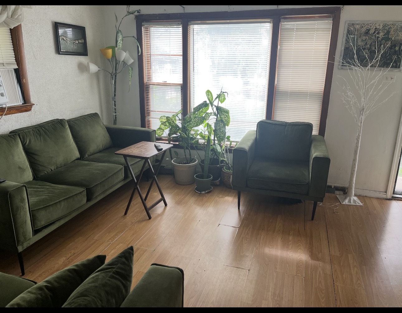 Gallery Image 11