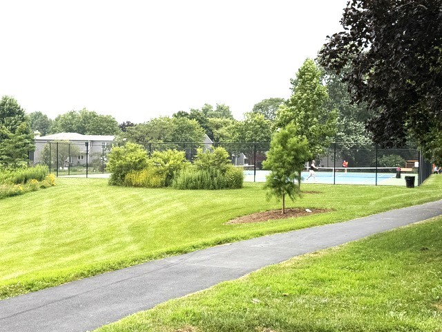 Gallery Image 18