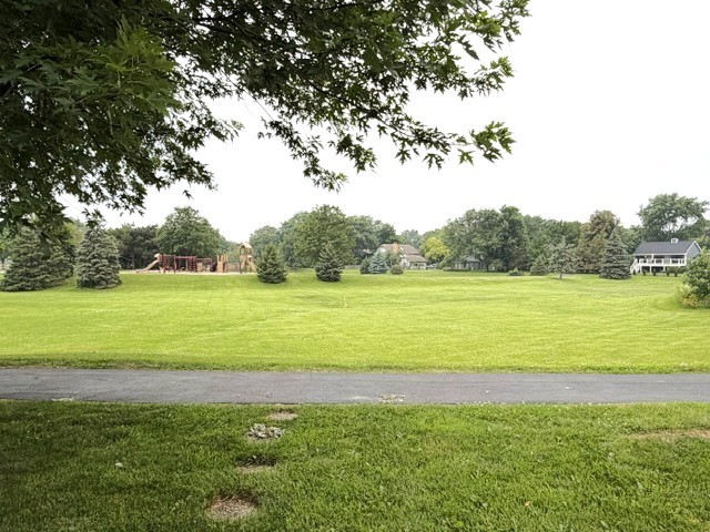 Gallery Image 17
